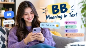 bb meaning in text