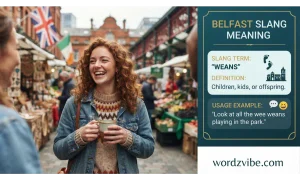 belfast meaning slang