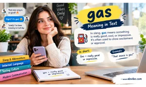 gas meaning in text