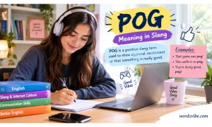 pog meaning slang