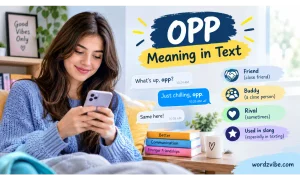 opp meaning slang